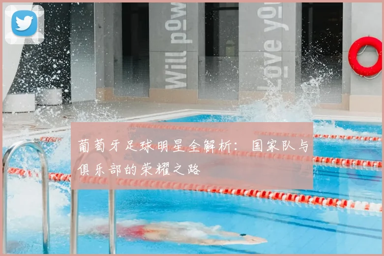 葡萄牙足球明星全解析：国家队与俱乐部的荣耀之路