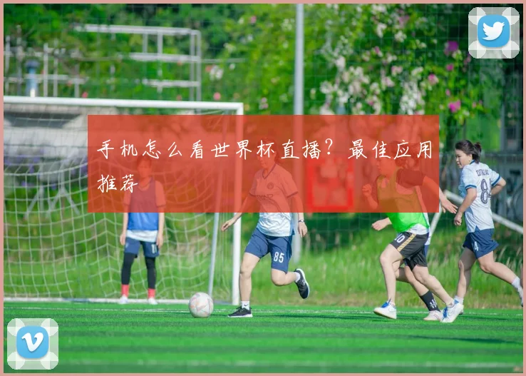 手机怎么看世界杯直播?最佳应用推荐